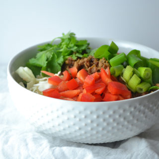 Spicy Venison Cabbage Bowl